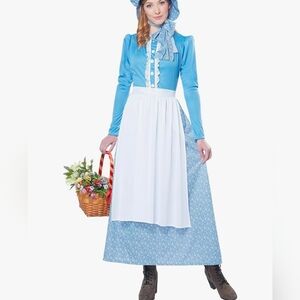 Pioneer/Colonial Auntie Em woman costume adult medium.